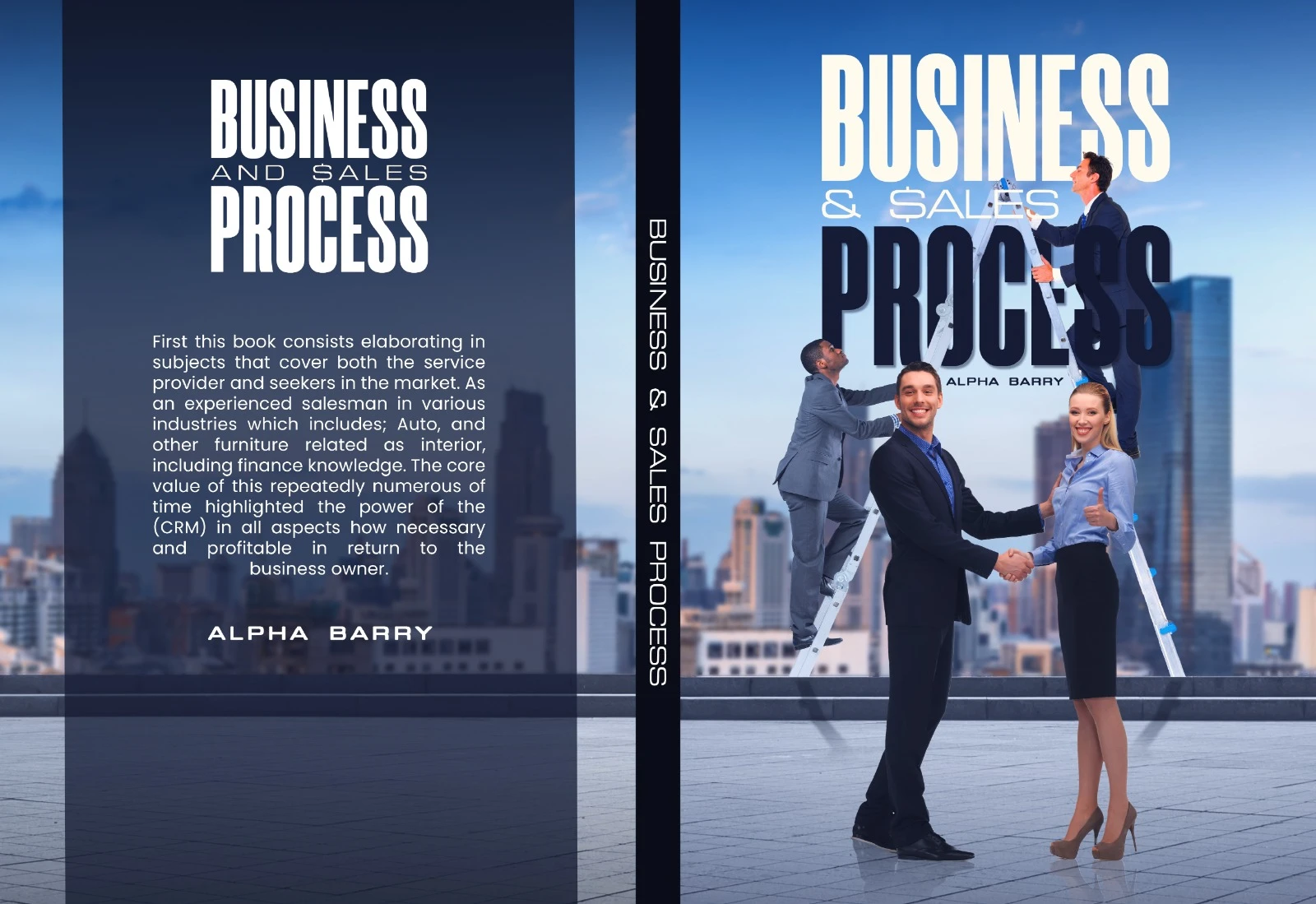 Business & Sales Process book cover